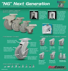 thumbnail of ng_flyer